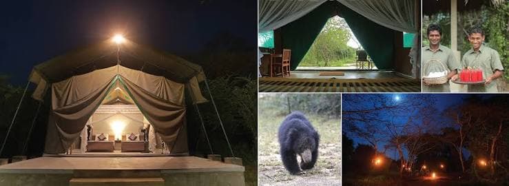 Wilpattu Wilderness Camp