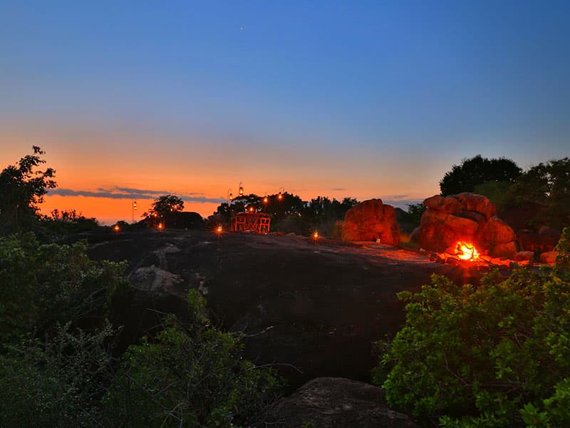 Yala National Park