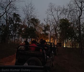 Wilpattu Night Sky Safari