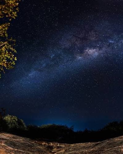 Yala Under the Stars